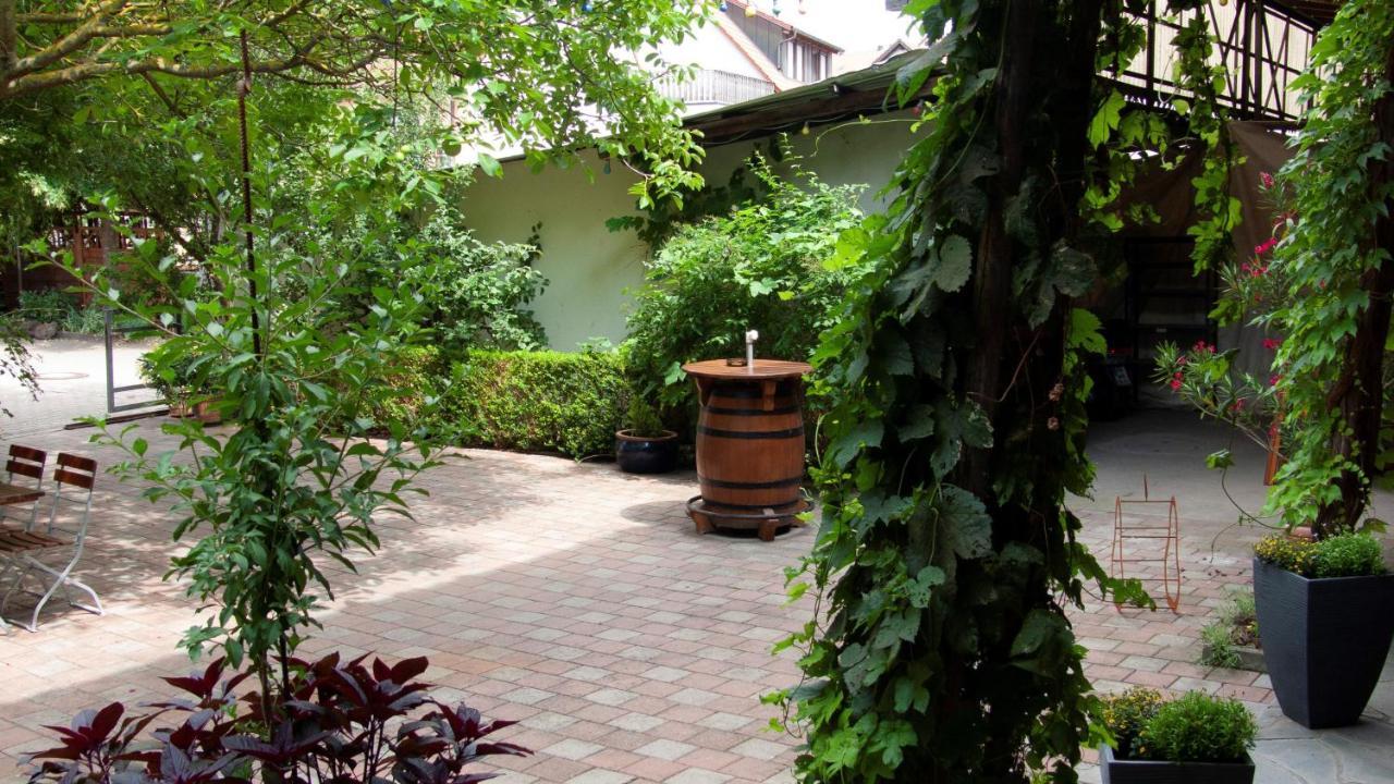 Apartmenthaus "Zum Birnbaum" Rosstal Экстерьер фото